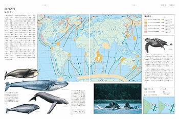 沼田ノート　地図・文化・夏冬講習網羅 沼田ノート 地図・文化・夏冬講習網羅
